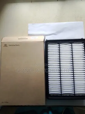 Air Filter Hyundai Tucson 2016 (Genuine Brand)