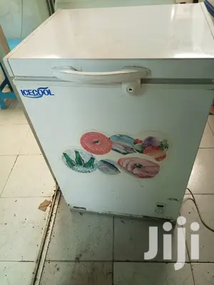 Mini Deep Freezer