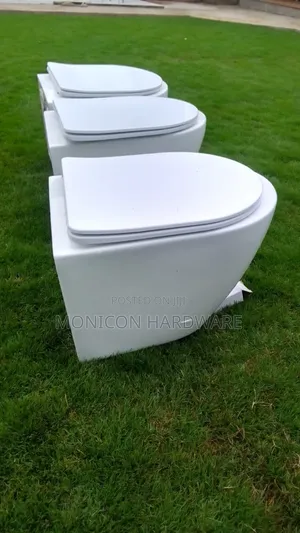 Water Closet- Wall Hung