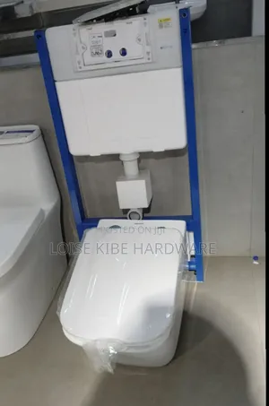 Homart Concealed Cistern and Toilet Available