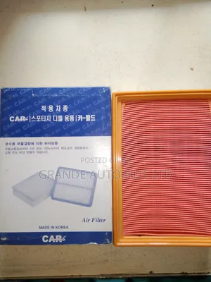 Air Filter Kia Sportage Diesel (Car World Brand)