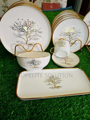 Elegant Porcelain Dinner Set
