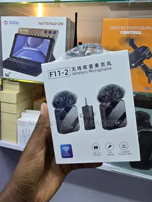 F11-2 2-in-1 Wireless Mics With Aux & 3-in-1 Lighting