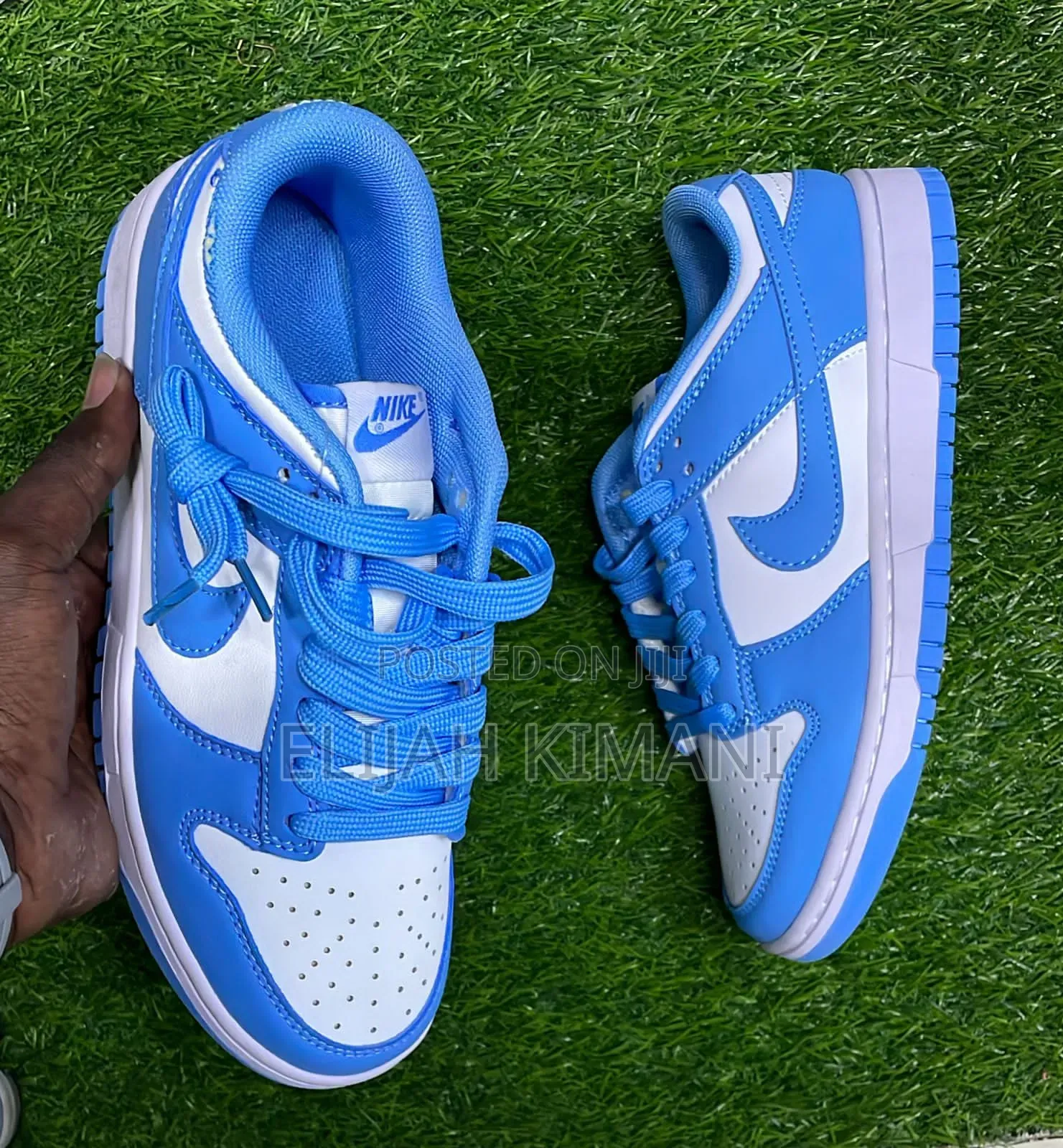 Leather Sb Dunks