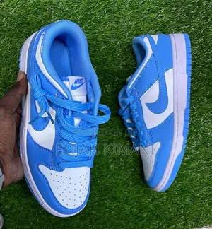 Leather Sb Dunks