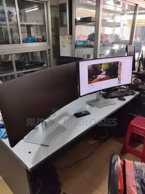 Dell Monitor