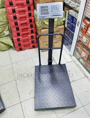 Digital Scale 300kg/ Platform Weighing Scale 300kgs / Digital Weighing