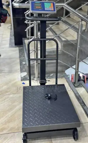 Platform Weighing Scale 600kgs / Digital Weighing Scale 600kgs