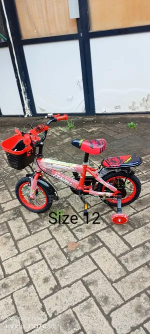 Bicycle Size 12