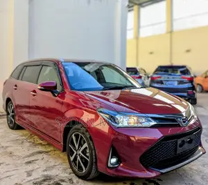 Toyota Corolla Fielder 2019 Burgundy