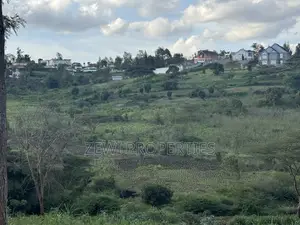 1/8 Acre Merisho