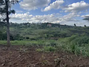 1/8 Acre Merisho