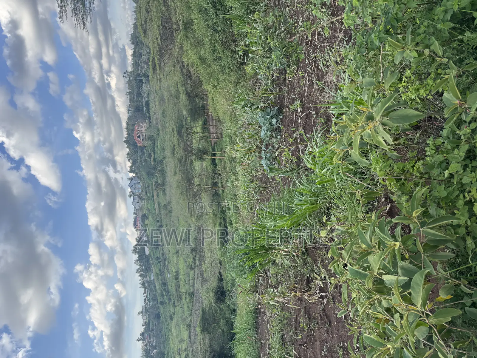 1/8 Acre Merisho