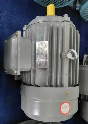 STCL Italy 5.5hp Three Phase High Speed 2900rpm Electric Motor