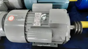STCL Type Ycl 132m-4 10hp Single-Phase Asynchronous Electric Motor.