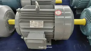 7.5hp STCL Italy High-Speed Three Phase Motor 2900rpm