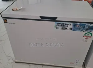 Rebune 250 Litres Deep Freezer at 29500