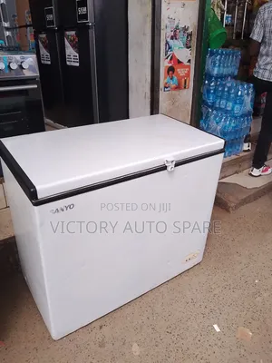 Sanyo Clean Deep Freezer