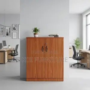 Office Cabinet; Two Doors Credenza Wooden Cabinets