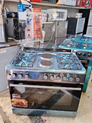 60*90cm Electric Cooker (Roch )