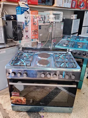 60*90cm Electric Cooker (Roch )