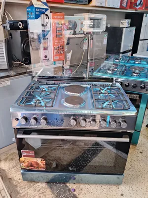 60*90cm Electric Cooker (Roch )