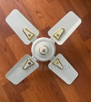 Roch 24 Inches Ceiling Fan