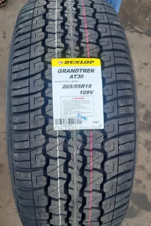 265/55r19 Dunlop At30 Tyre