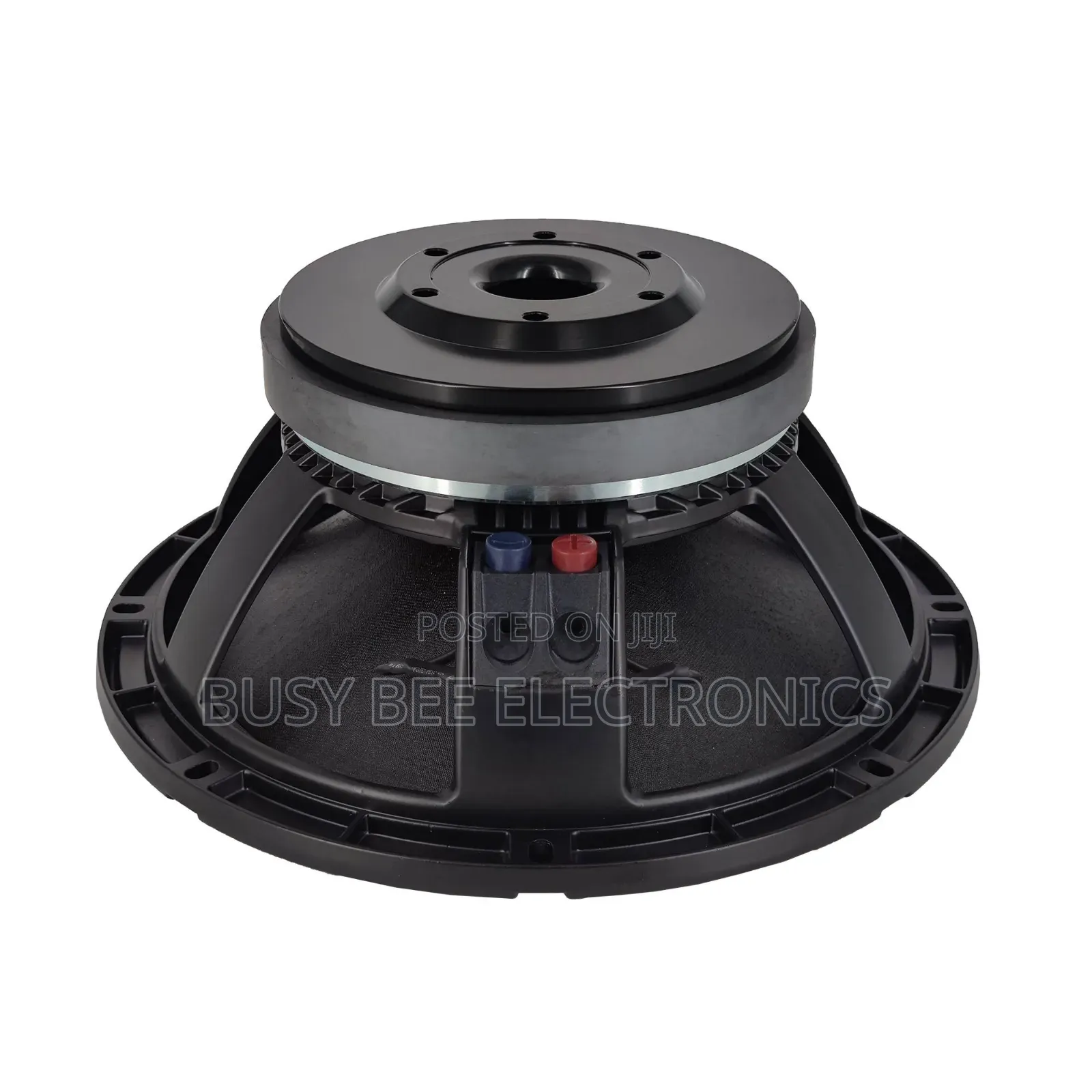 12wk301
 12" Speaker