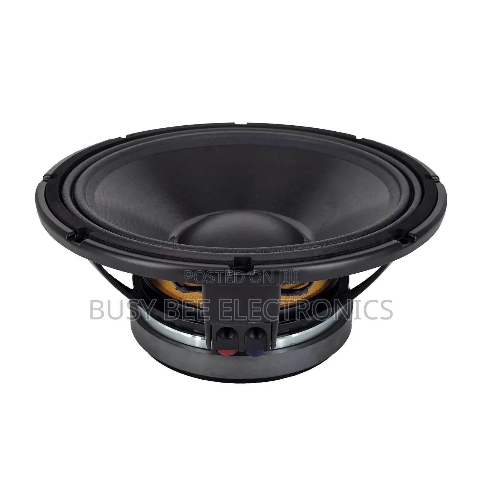12wk301
 12" Speaker