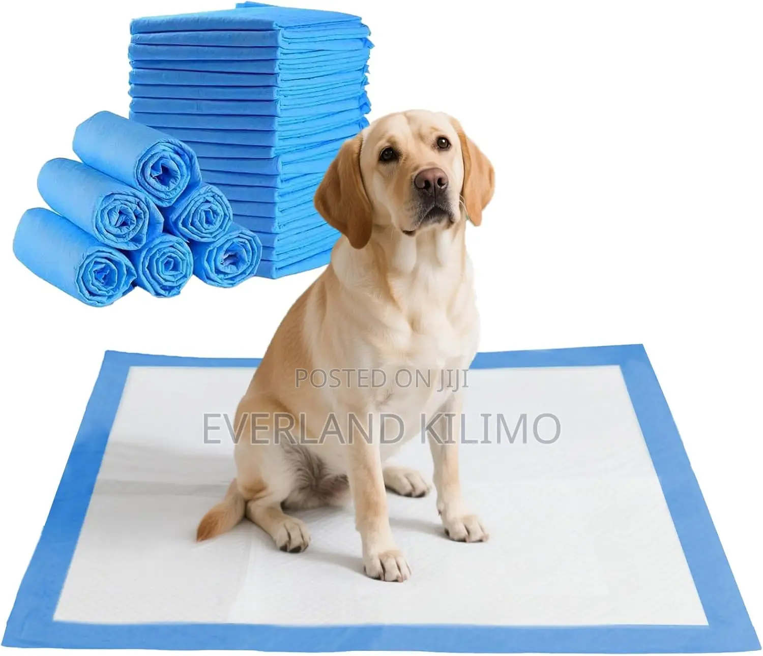 High Quality Dog Training Pads – Fast Absorption.