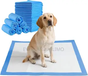 High Quality Dog Training Pads – Fast Absorption.