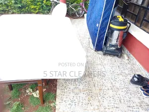 Mattress Cleaning Services