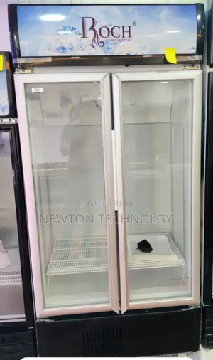 505 Litres Roch Vertical Showcase Model RSF-680-O