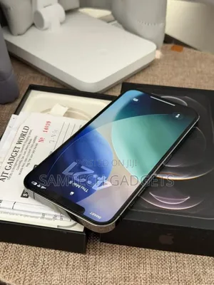 Apple iPhone 12 Pro Max 256 GB Gray