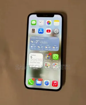 Apple iPhone 12 Pro 256 GB Gray