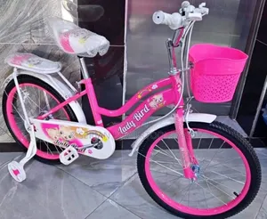 Lady Bird Bike Size 20'