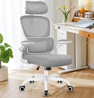 High Back Chair: Ergo Elite Executive Workstation Chair