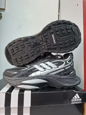 Adidas Shoes