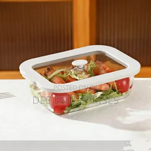 1040ml Borosilicate Lunch Box