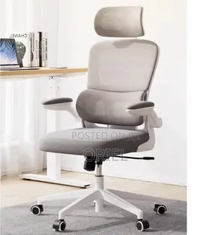 Office Chair : High-Back Ergonomic Computer Study Office Chair