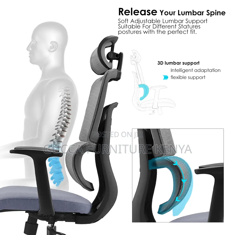 Orthopedic Executive High-back Mesh Chair