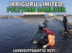 Waterlock Dam Liner