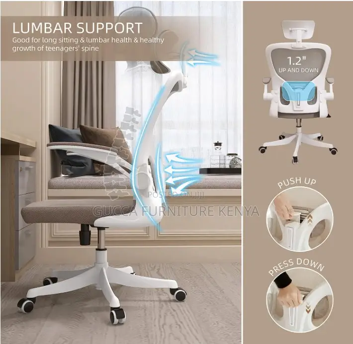 Executive Mid- Back Ergonomic Office Chair