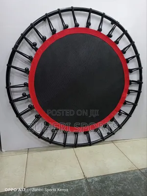 Mini Trampoline