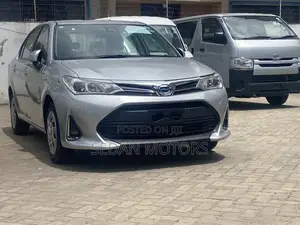 Toyota Axio 2019 Silver