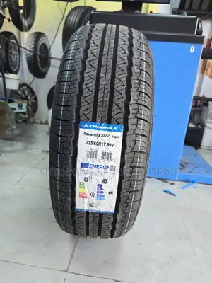 225/60r17 Triangle Tyre