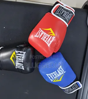 Everlast Pro Boxing Training Gloves,