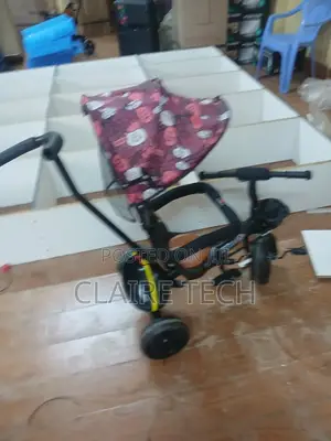Comfortable Tricycle With Protective Canopy