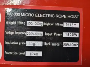 Electric Mini Hoist Crane. 1000kg